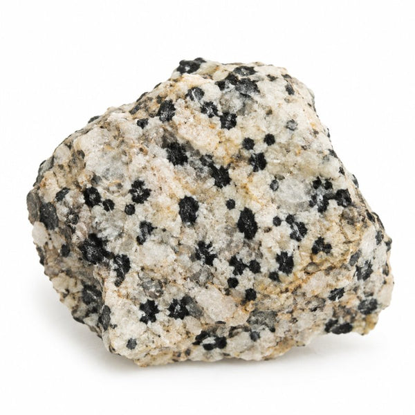 Dalmatian Jasper